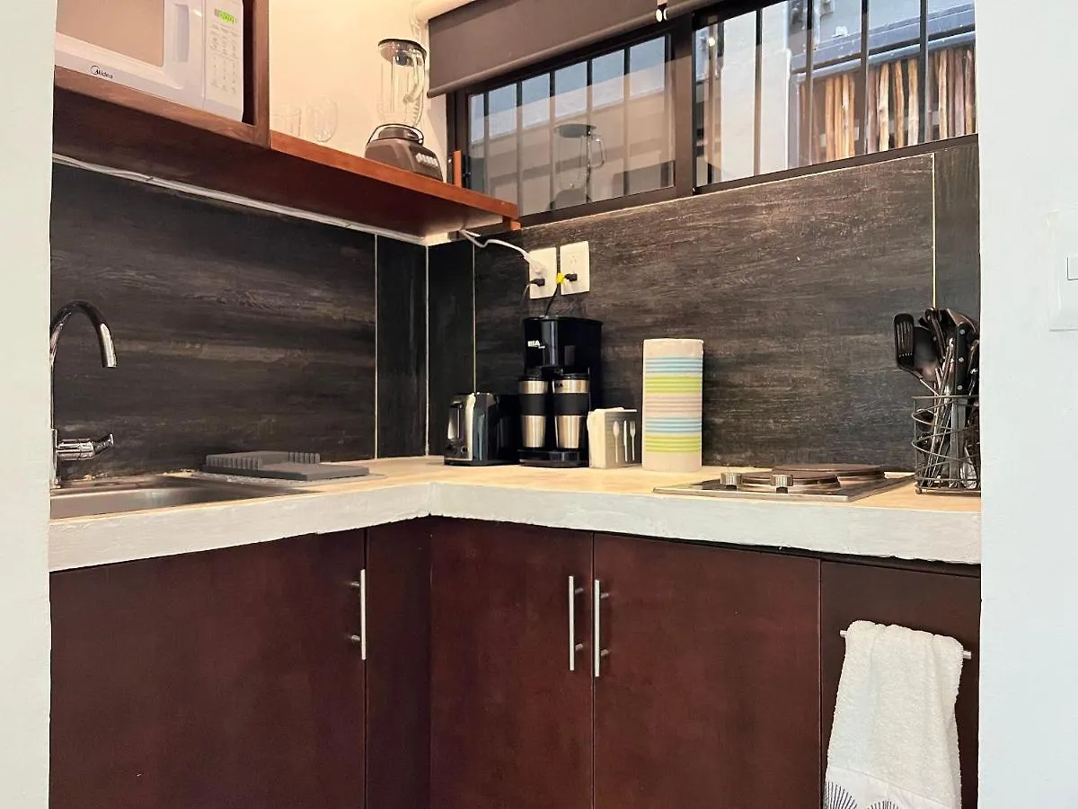 Beautiful, Comfortable And Great Location Studio Playa del Carmen