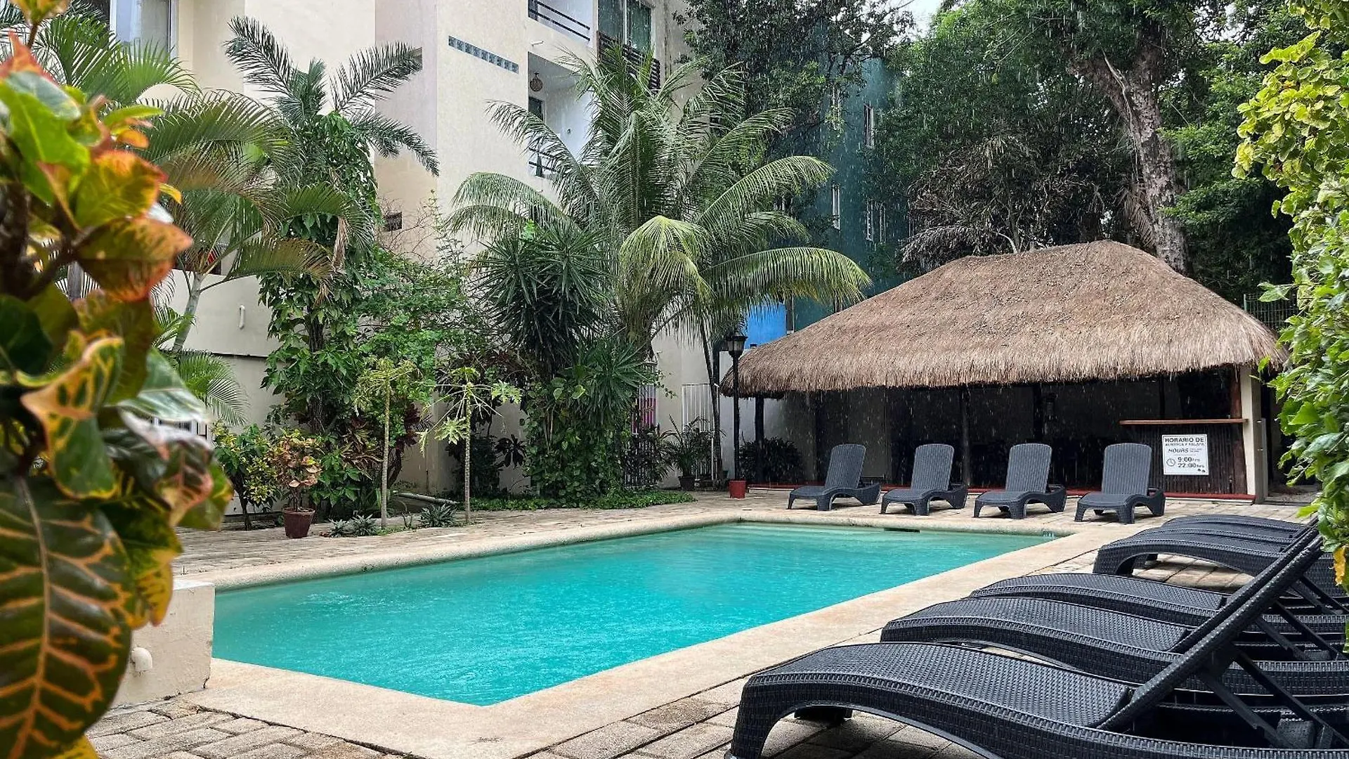 Apartment Beautiful, Comfortable And Great Location Studio Playa del Carmen Mexico